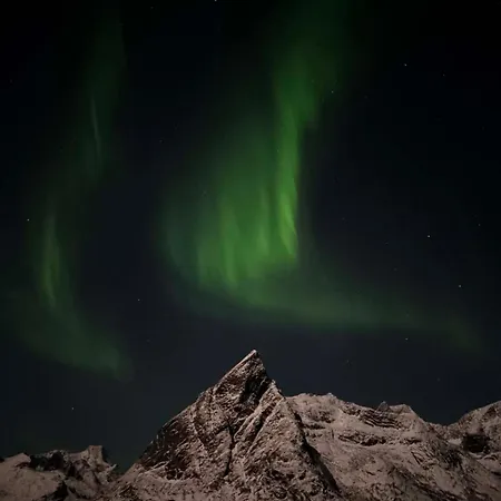 Reine Views
